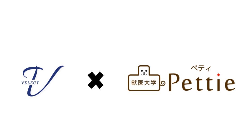 べレクトとPettie獣医大学のロゴ