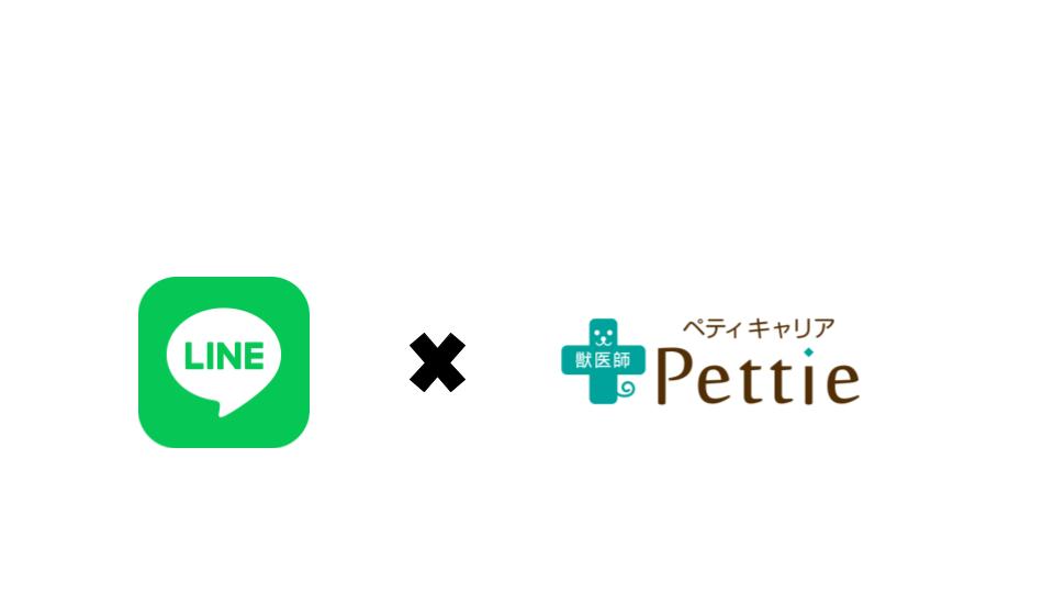 Petti獣医師キャリアのLiNE公式アカウント